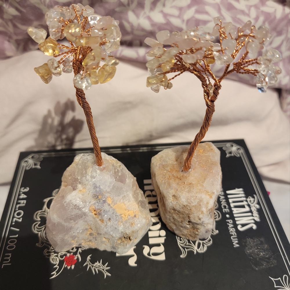2 Small Money Trees Decoration Combo